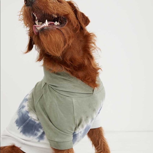 AEO Dog Hoodie - Picture 8 of 13